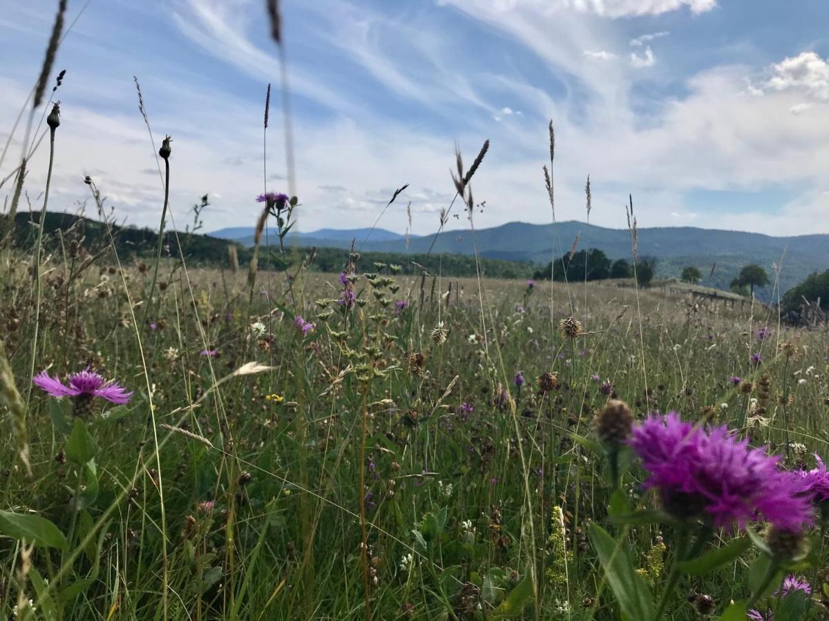 Seosko Domacinstvo Bondzulic Lägenhet Užice Exteriör bild