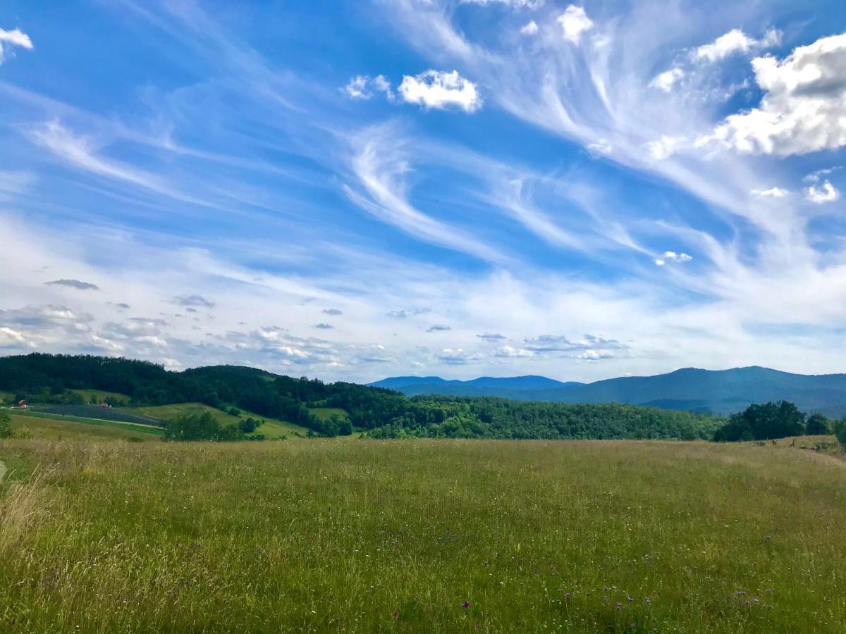 Seosko Domacinstvo Bondzulic Lägenhet Užice Exteriör bild