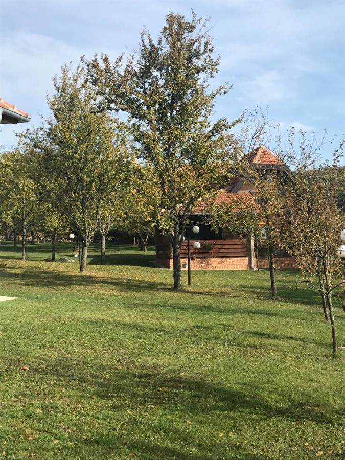 Seosko Domacinstvo Bondzulic Lägenhet Užice Exteriör bild